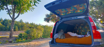 VOLVO V70, XC70 2006 to 2016 BLIND CURTAINS. Set of 6 CURTAINS. VOLVO MINI CAMPER